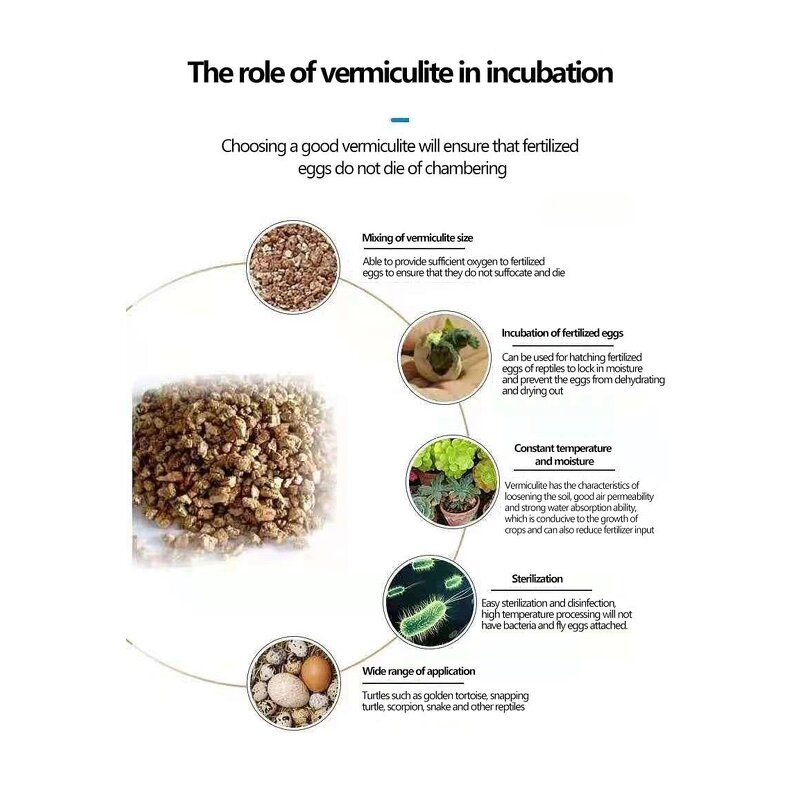 Reptile Incubator Factory - Digital Touch Screen