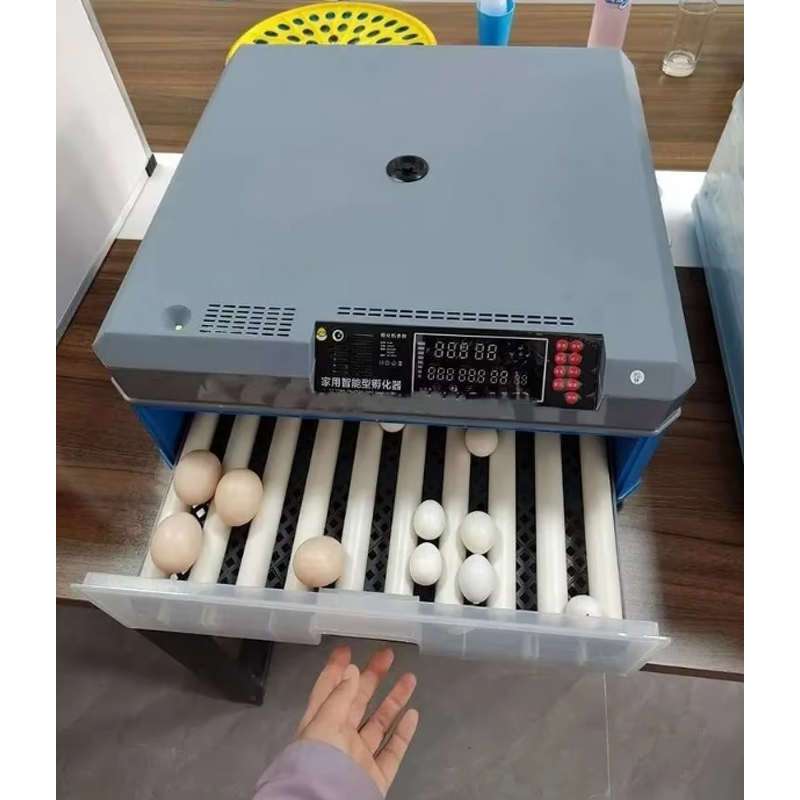 Egg Incubator Manufacturer - Automatic Hatching Machine