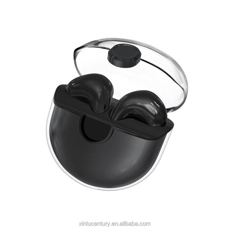 HiFi Wireless Earbuds Manufacturer - OEM High Capacity Custom