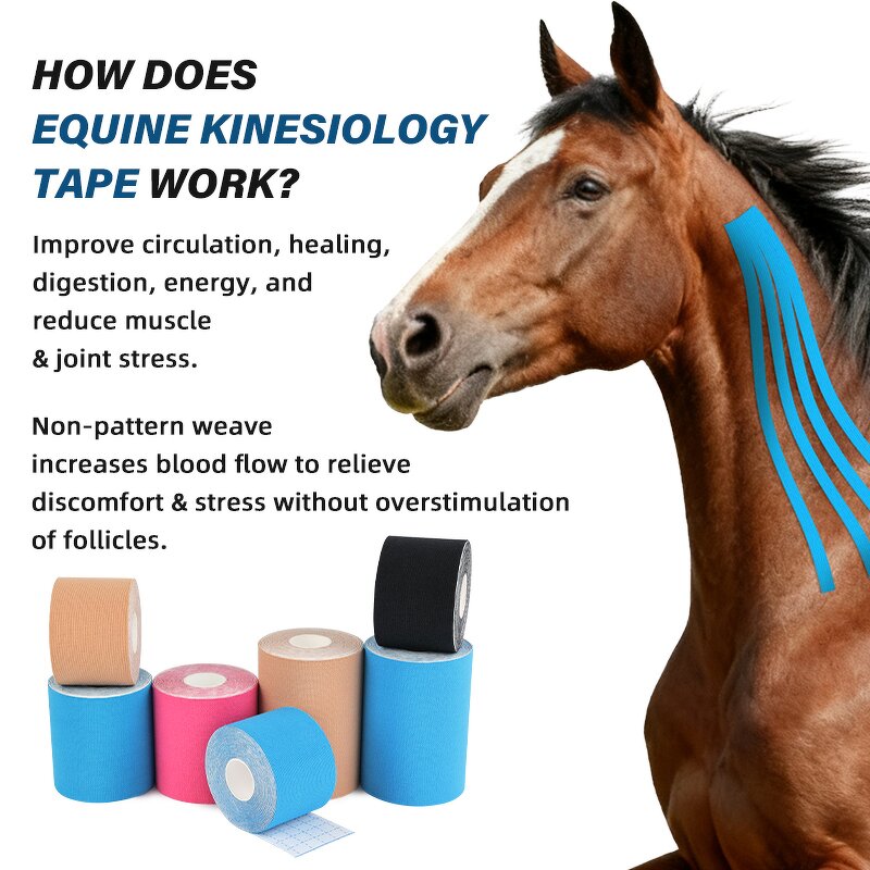 Equine Kinesiology Tape Factory - Professional Muscle Support