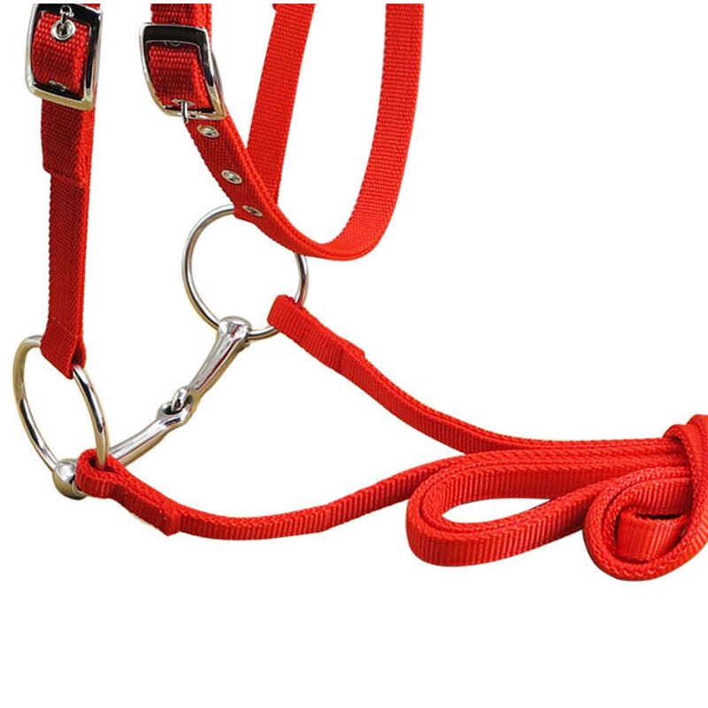 Horse Rein Chain Factory - Hot 20mm White Nickel Plated