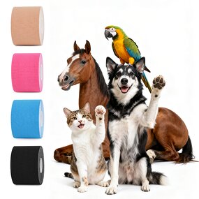 Equine Kinesiology Tape Factory - Professional Muscle Support