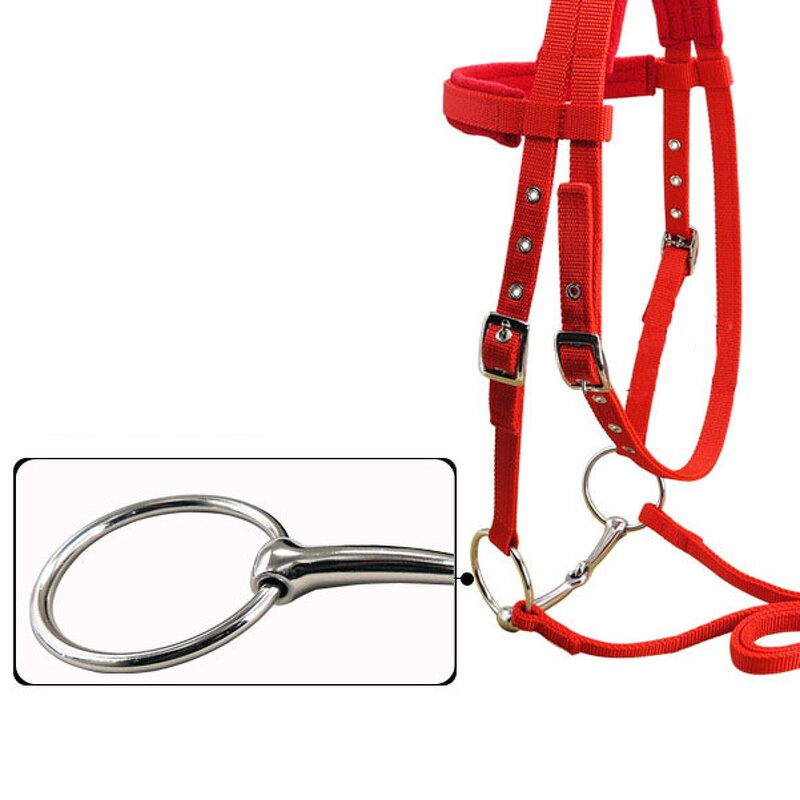 Horse Rein Chain Factory - Hot 20mm White Nickel Plated