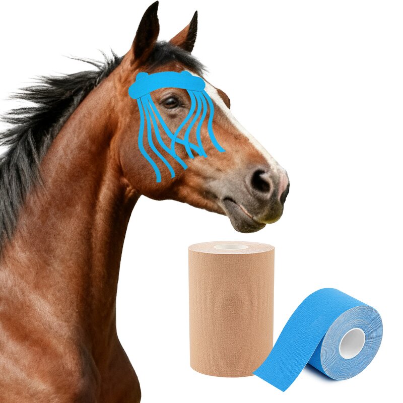 Horse K Tape Factory - OEM Service Free Samples