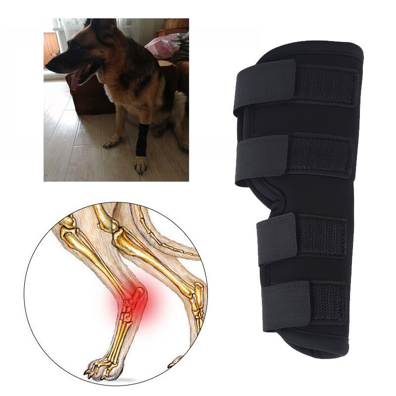 Dog Knee Brace Factory - High Elasticity Pet Comfortable