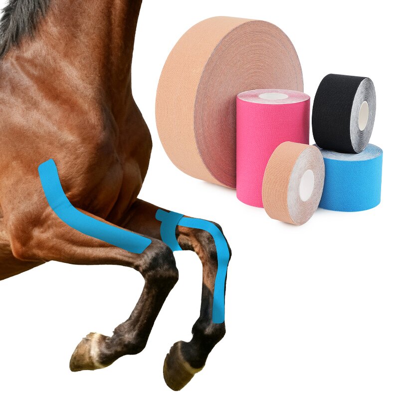 Equine Kinesiology Tape Factory - Athletic Performance Injury