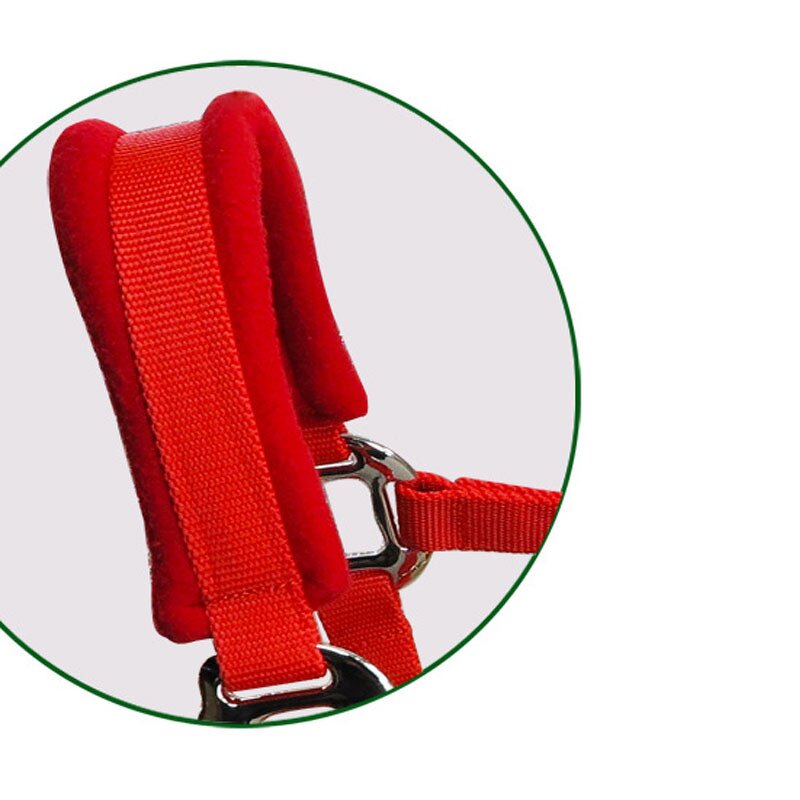 Horse Bridle Head Factory - Thickened Webbing Air Eye Set