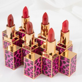 Lipstick Factory - OEM 6 Colors Matte Tube