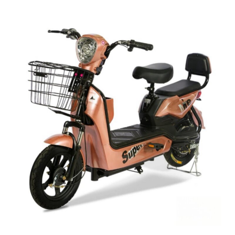 Electric Bike Generator Supplier - OEM Cheapest Kit Option