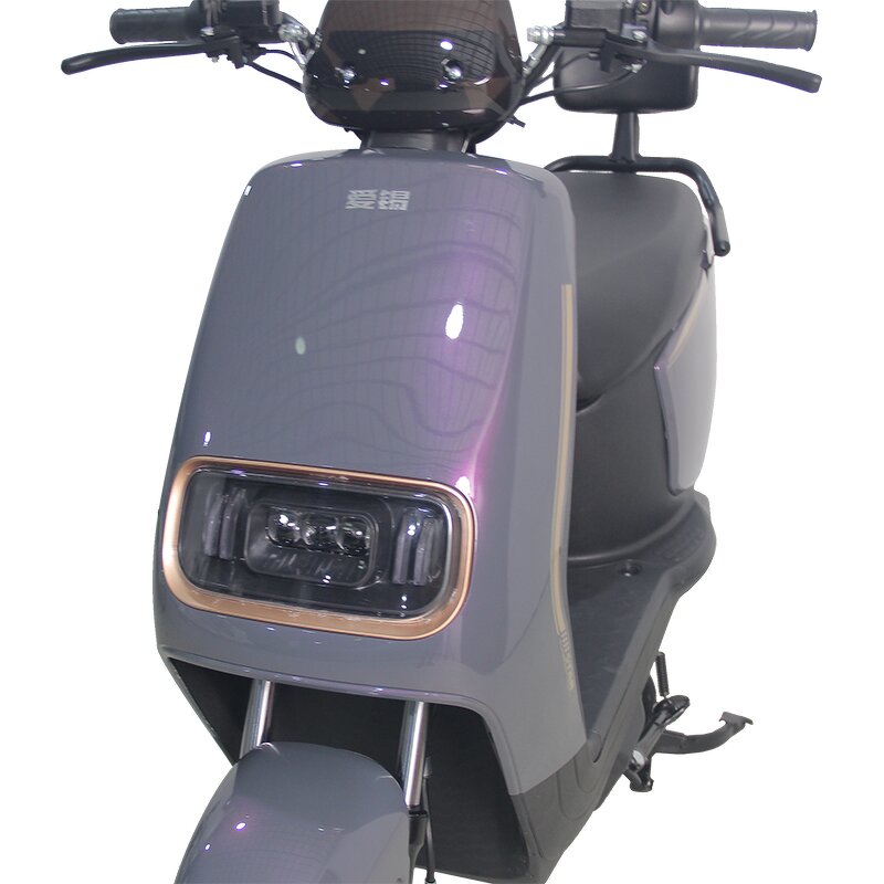 Electric Scooter Factory - OEM 1000W 60V Lithium Battery Adult