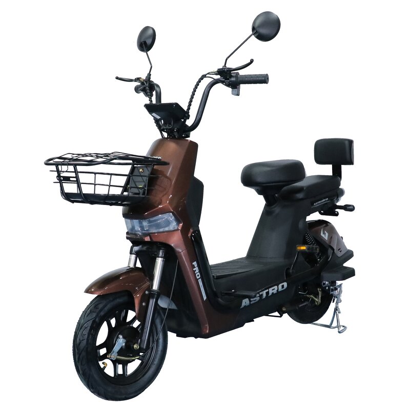 Electric Bike Factory - OEM 48V 500W Digital Urban Two-Seater