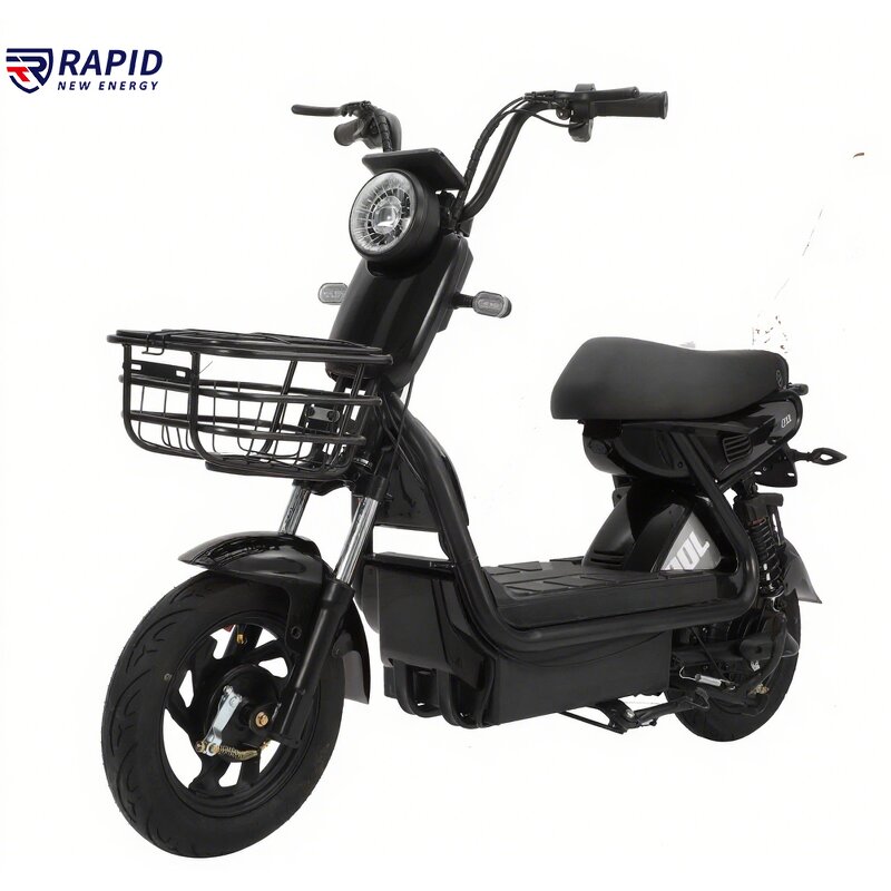 Electric Bike Factory - OEM 500w LCD CE Certified Custom Color