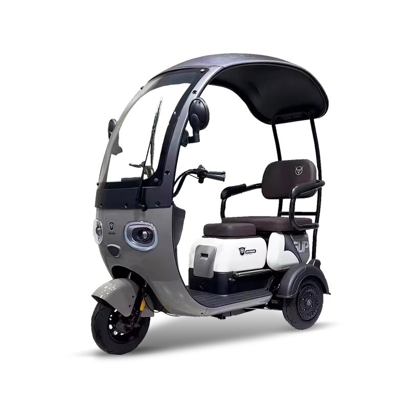 Electric Passenger Tricycle Factory - OEM Two Seats Cargo Trike