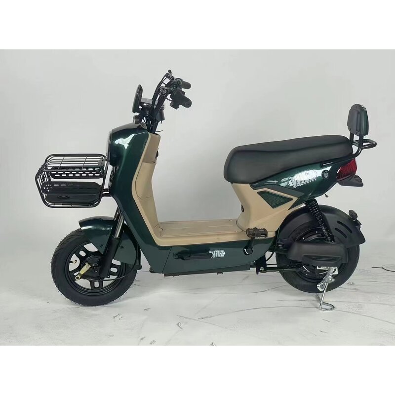 Electric Skateboard Factory - OEM Hot-selling 48V12A E-bike