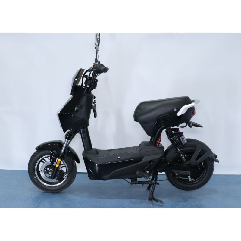 Electric City Bike Factory - OEM 500w 20ah Trike Twin Scooter