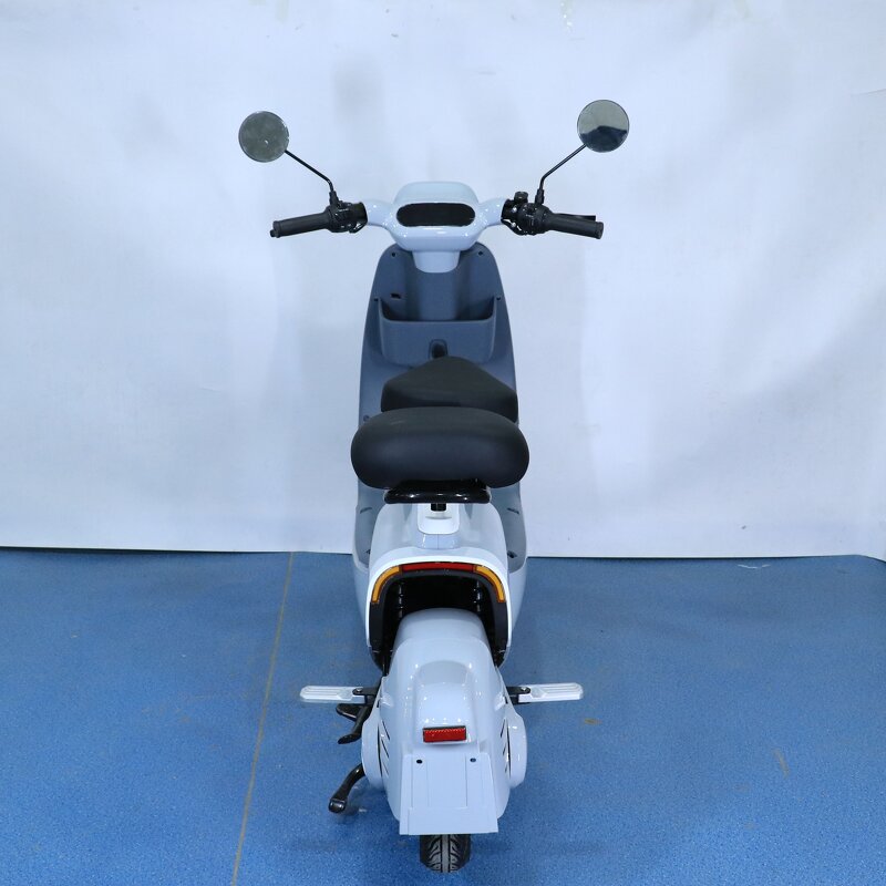 Electric Bicycle Manufacturer - OEM 2 Seater Long Range E Bike