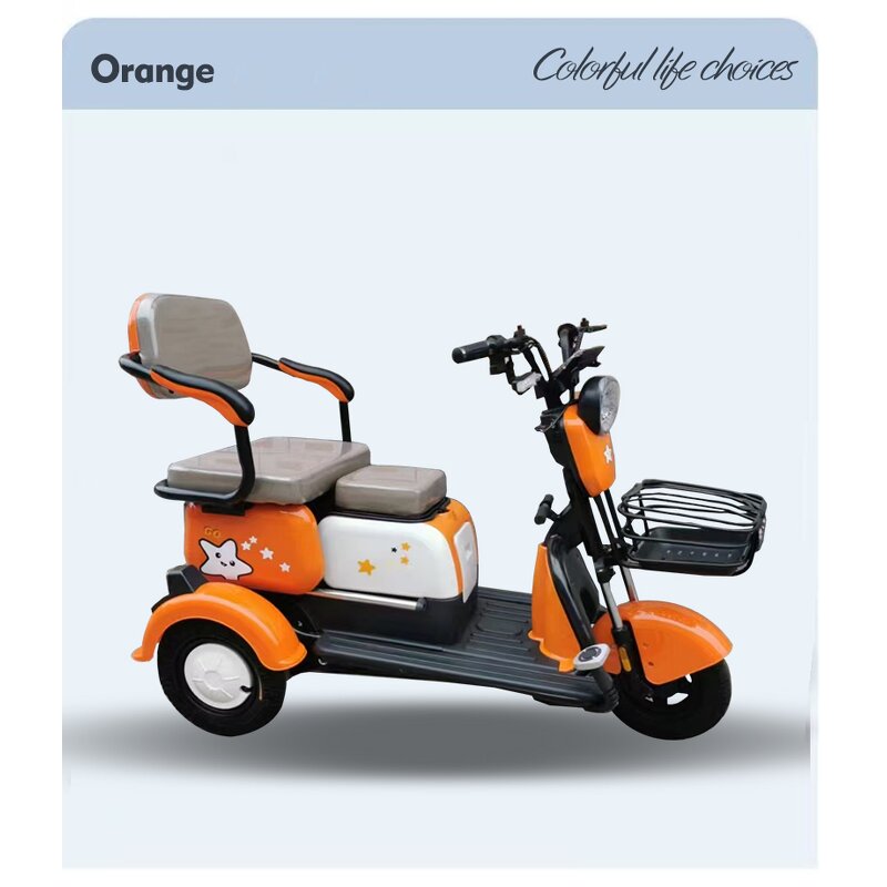 Electric Delivery Tricycle Factory - OEM 48V Open Cabin Cargo