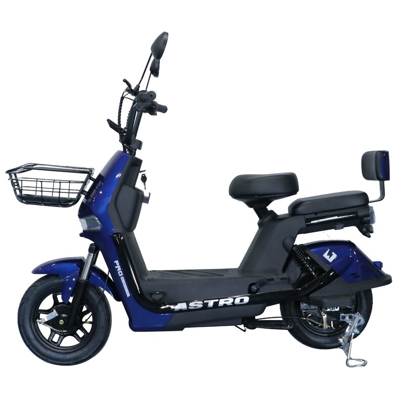 Electric Bike Factory - OEM 48V 500W Digital Urban Two-Seater