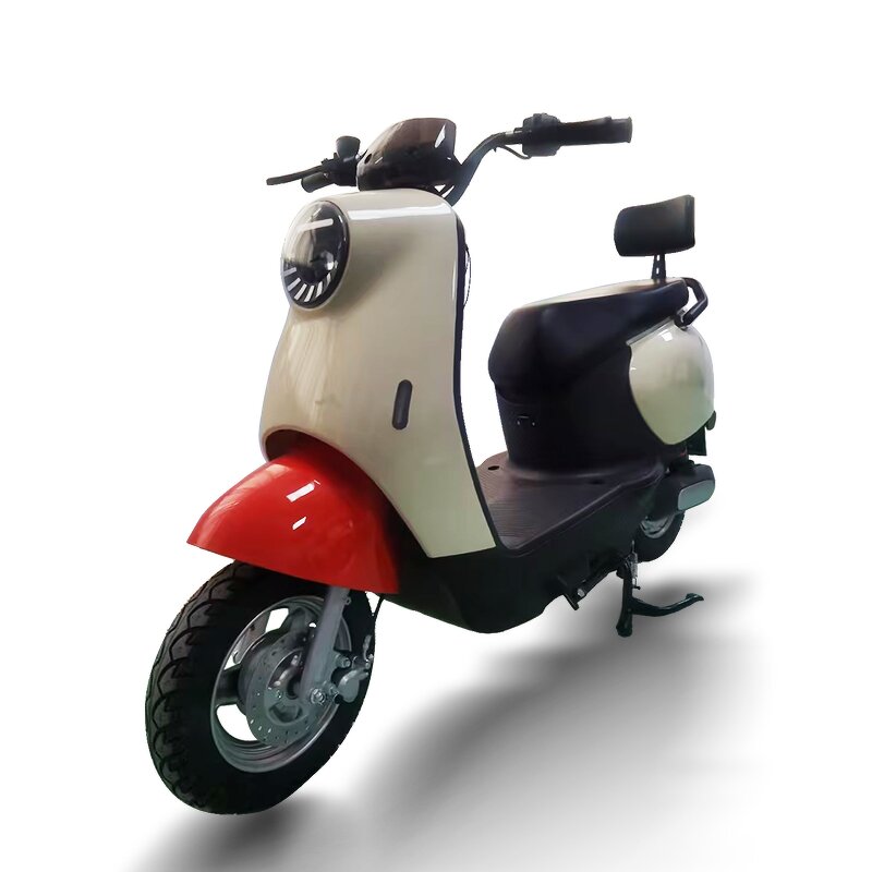Electric Bike Manufacturer - OEM 48V 500W Smart Integrated Hub