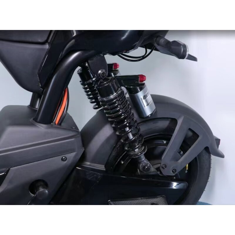 Electric City Bike Factory - OEM 500w 20ah Trike Twin Scooter