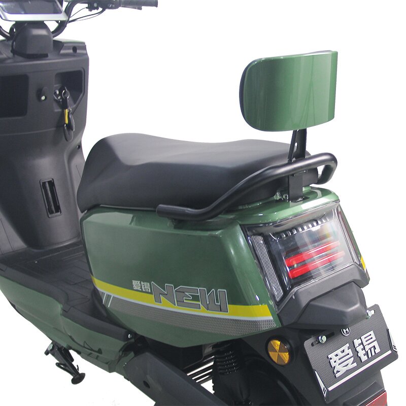 Electric Car Factory - OEM Hot Selling 600W Motor 50km/h