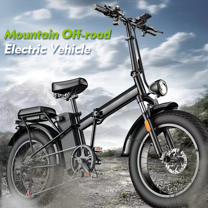 Cargo Electric Bike Factory - OEM 3Speed 48V 500W 20 Inch