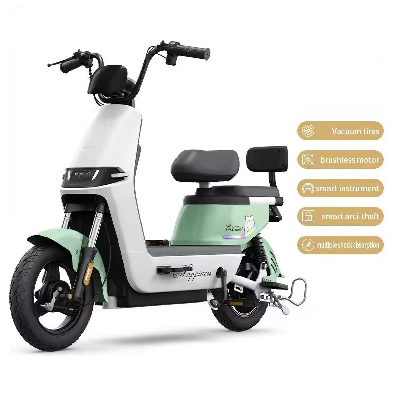 Electric Bicycle Factory - OEM 500W Brushless Aluminum Alloy City