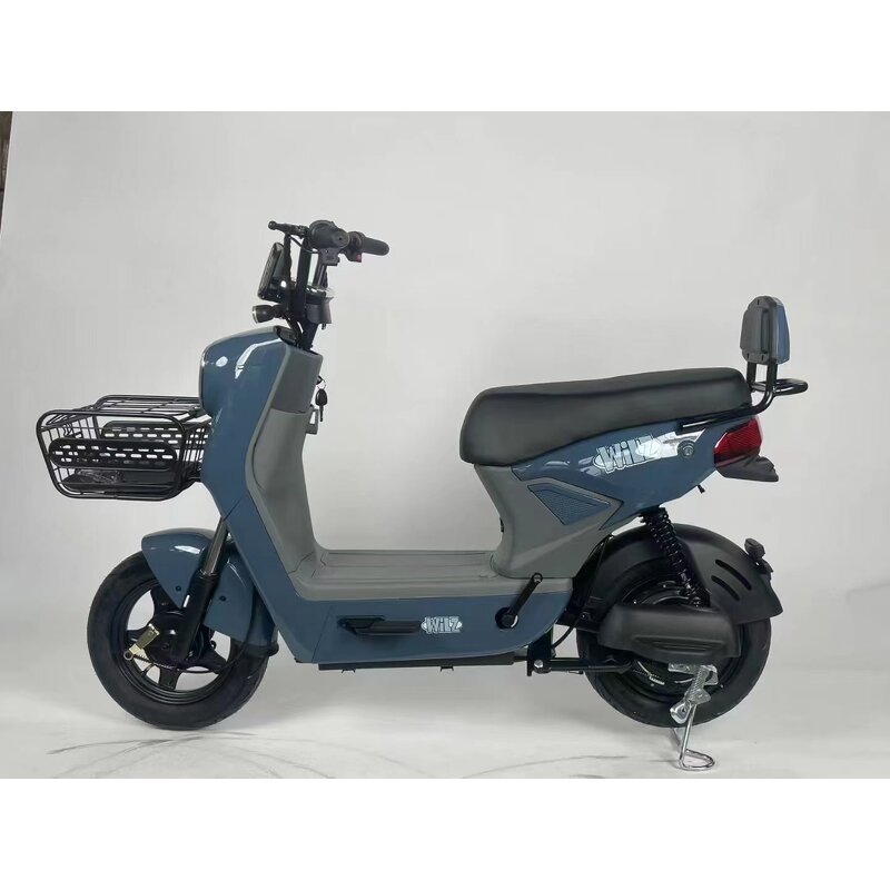 Electric Skateboard Factory - OEM Hot-selling 48V12A E-bike