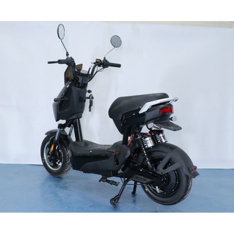 Electric Motorcycle Manufacturer - OEM Wholesale 1000W 1500W EEC