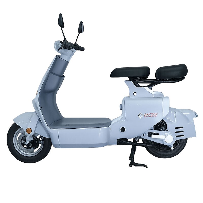 Electric Bicycle Manufacturer - OEM 2 Seater Long Range E Bike