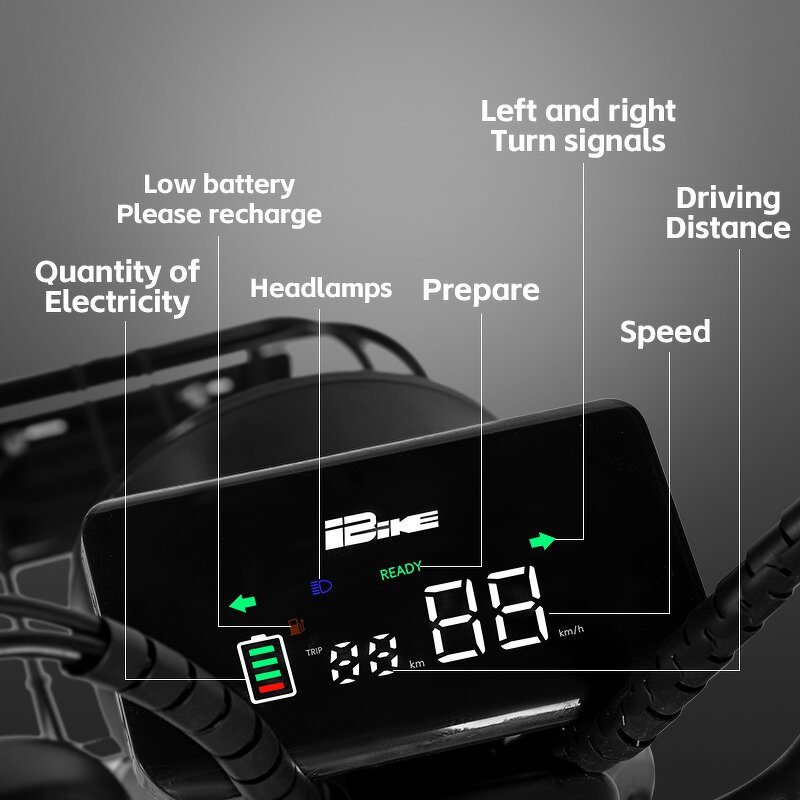 Electric City Bike Factory - OEM 48V 3-Speed Hybrid Lead-Acid