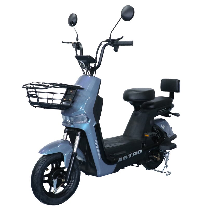 Electric Bike Factory - OEM 48V 500W Digital Urban Two-Seater