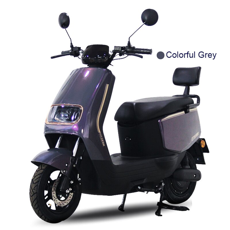 Electric Car Factory - OEM Hot Selling 600W Motor 50km/h