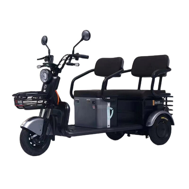 Electric Tricycle Manufacturer - OEM 3 Wheel Agricultural Double Row