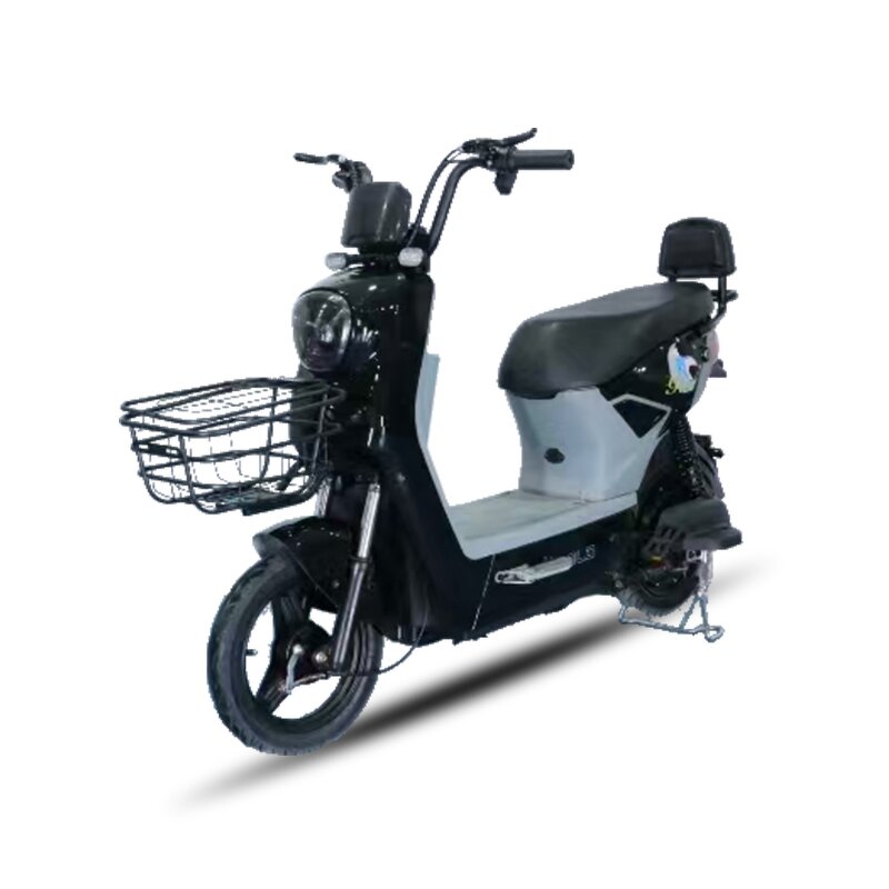 Electric Scooter Factory - OEM 500w EEC Powerful Adult Digital