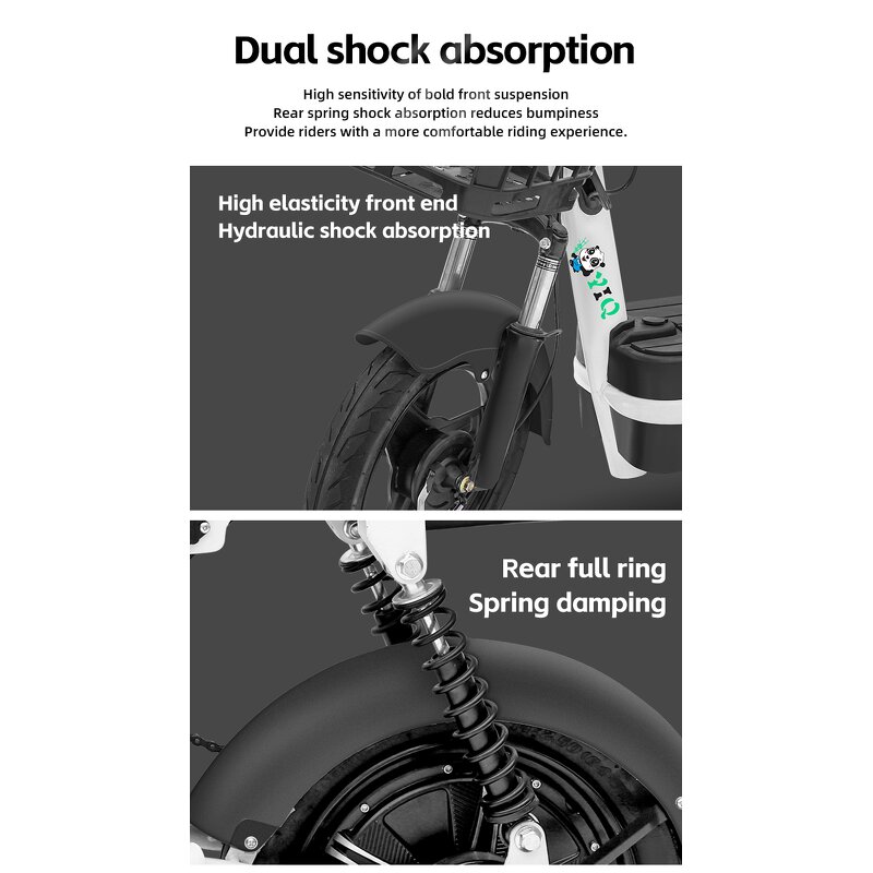 Electric Bike Kit Manufacturer - OEM with Battery for Adult Men