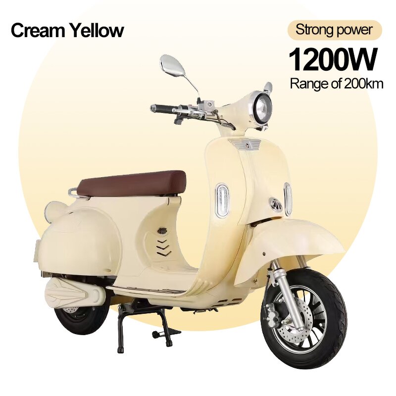 Electric Mobility Scooter Factory - OEM Retro 10 Inch 72V Moped