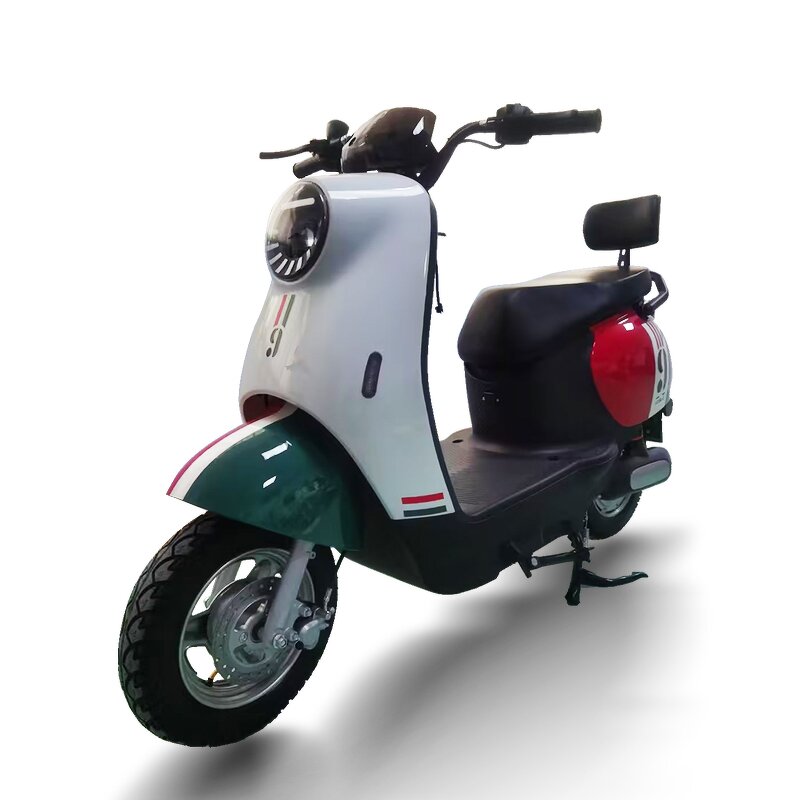 Electric Bike Manufacturer - OEM 48V 500W Smart Integrated Hub