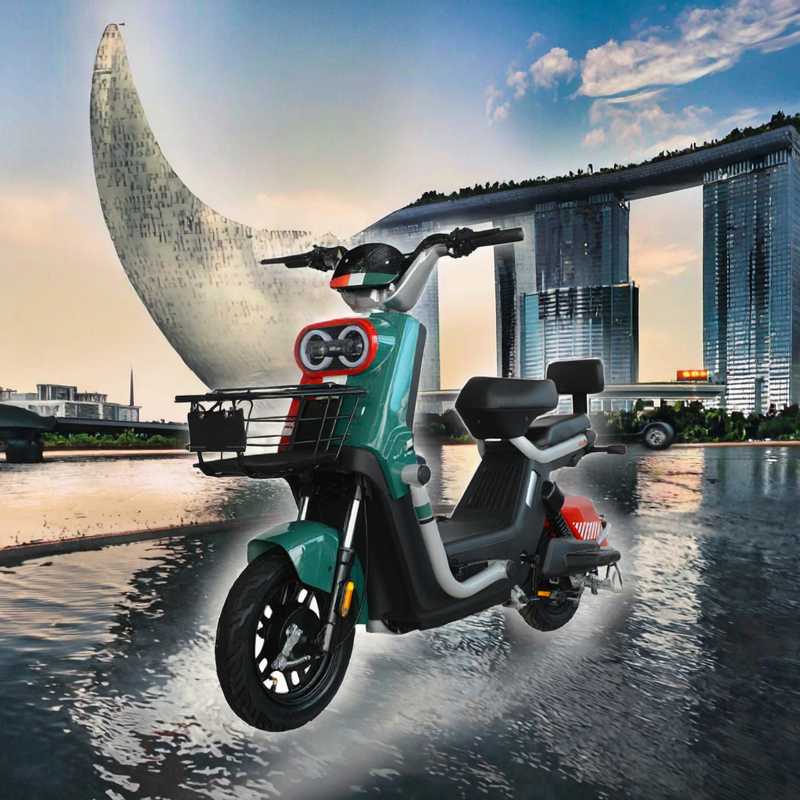 Electric Moped Factory - OEM 350W Long Range Removable Battery