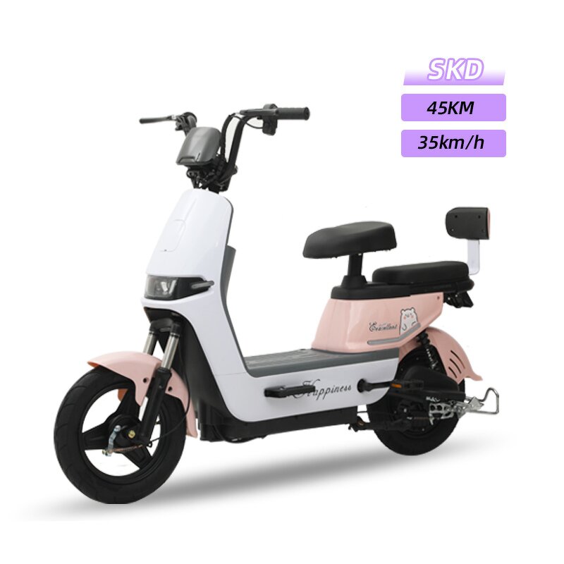 Electric Bike Factory - OEM 48v 500W 2-Wheel Brushless Moto