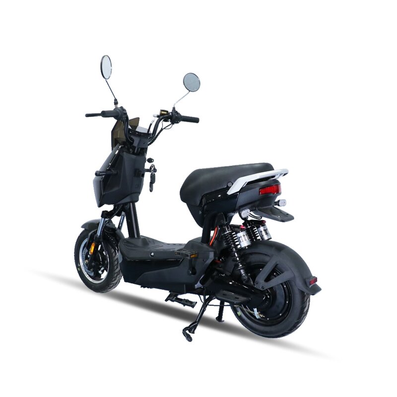 Electric City Bike Factory - OEM 500w 20ah Trike Twin Scooter