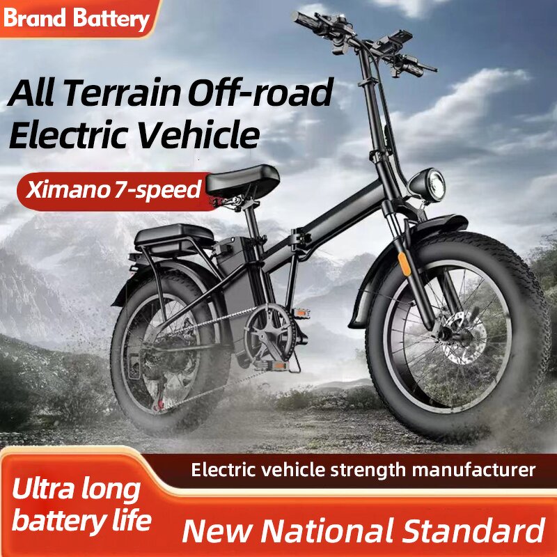 Electric Bike Manufacturer - OEM 500W 48V Smart Electronic Design