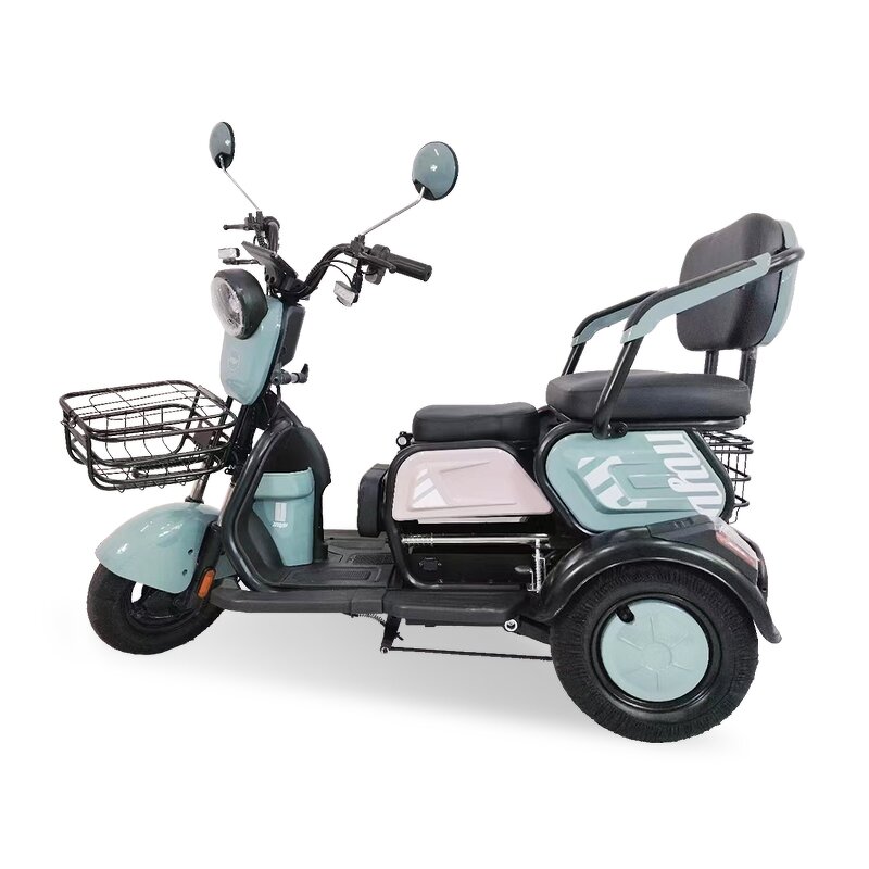 Electric Tricycle Factory - OEM 600W Multi-purpose for Disabled