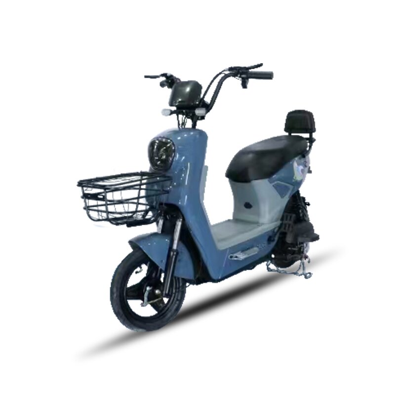 Electric Scooter Factory - OEM 500W Adult Disc Brake Big Wheels