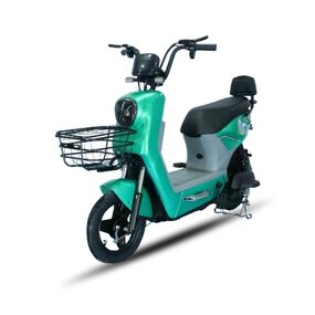 Electric Scooter Factory - OEM 500w EEC Powerful Adult Digital