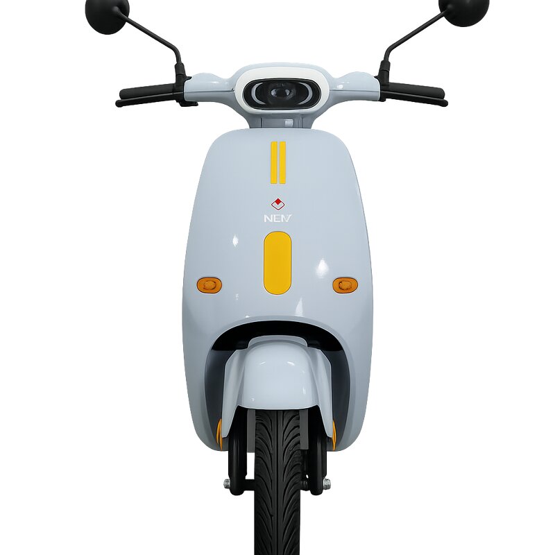 Electric Bicycle Manufacturer - OEM 2 Seater Long Range E Bike