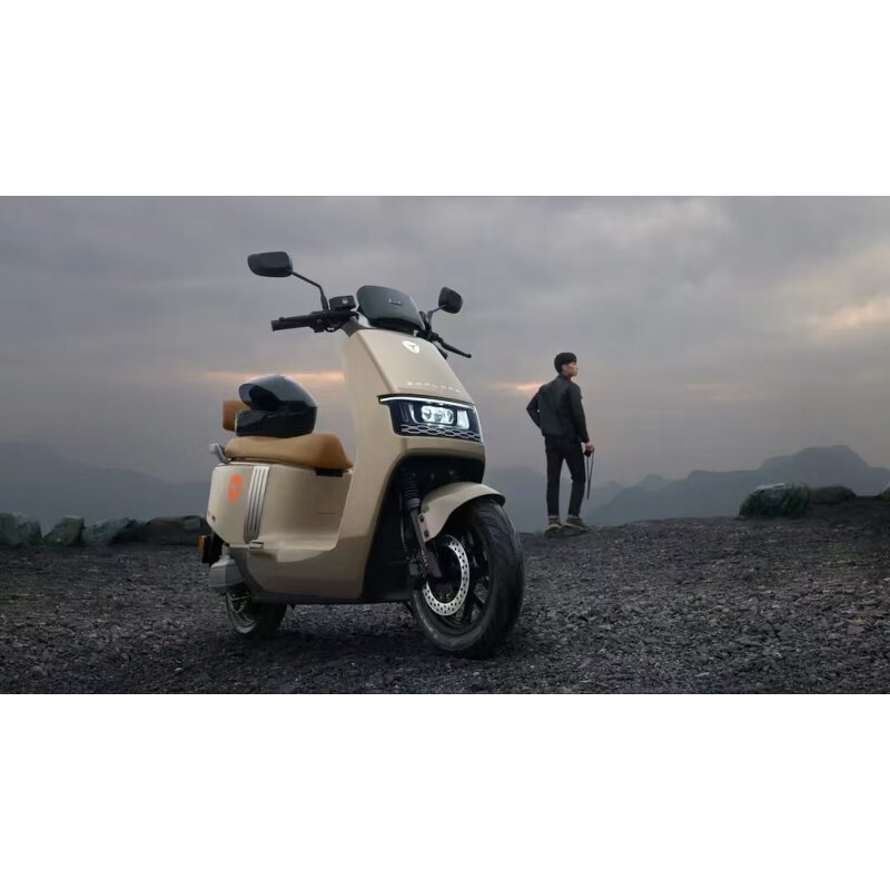 Electric Bicycle Supplier - OEM 48V 500W Digital Smart Urban