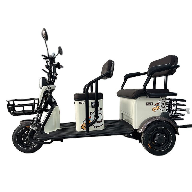 Electric Tricycle Manufacturer - OEM 3 Wheel Agricultural Double Row