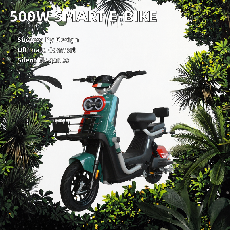 Electric Moped Factory - OEM 350W Long Range Removable Battery
