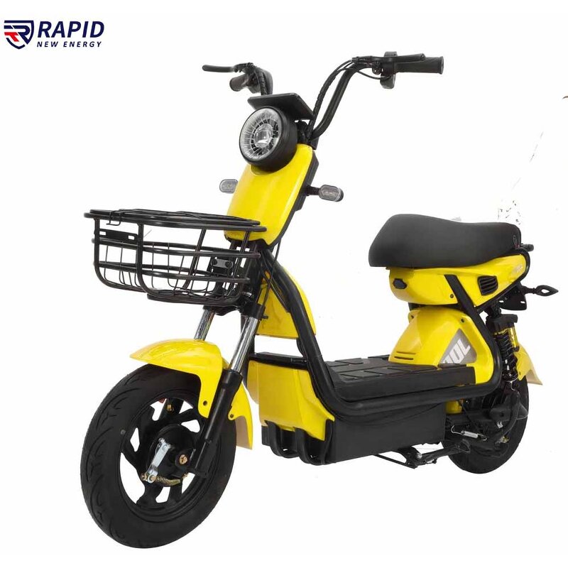Electric Bike Factory - OEM 500w LCD CE Certified Custom Color
